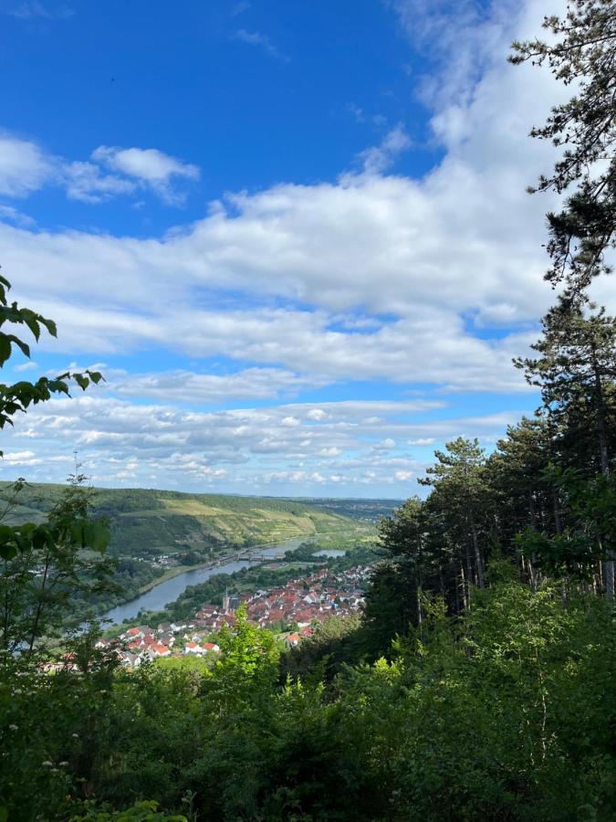 Hotel Maindrei - Schlafen Am Fluss Margetshöchheim Zewnętrze zdjęcie